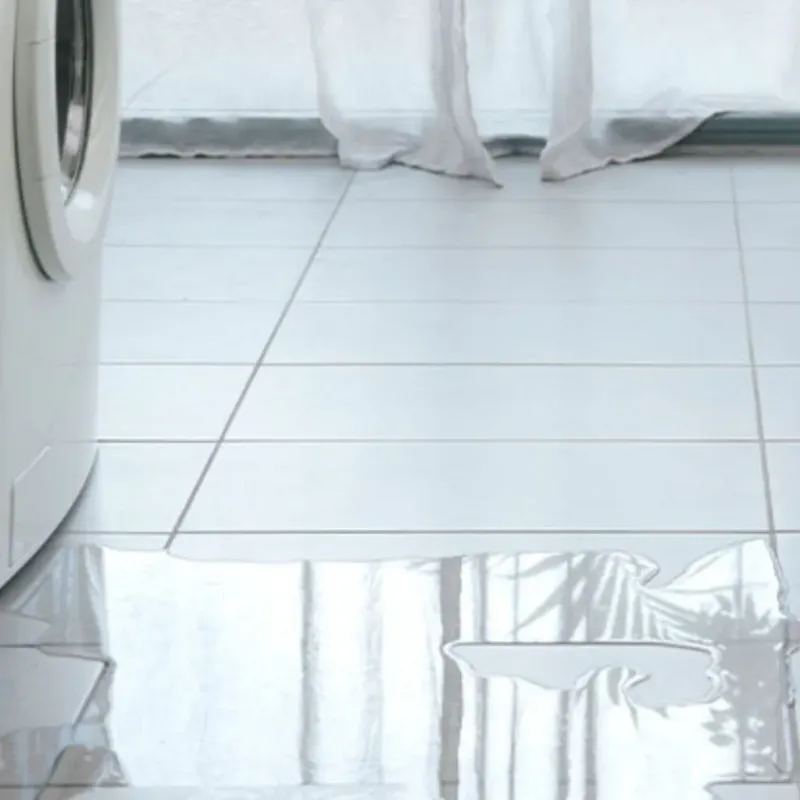 Appliance Leak Cleanup in Encinitas, CA